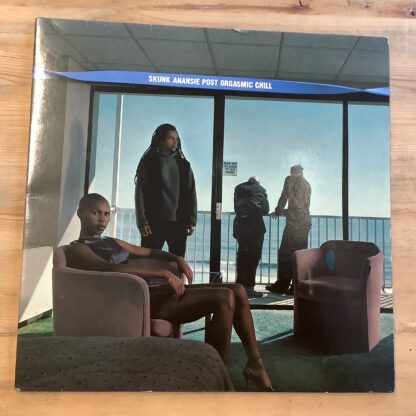 Skunk Anansie - Post Orgasmic Chill [LP] (2. hand)