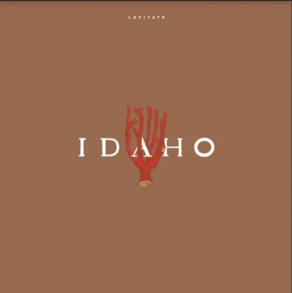 Idaho - Levitate [LP]