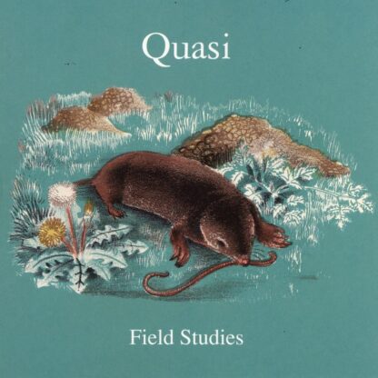 Quasi - Field Studies [2xLP]