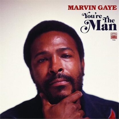 Marvin Gaye - You're The Man [2xLP]