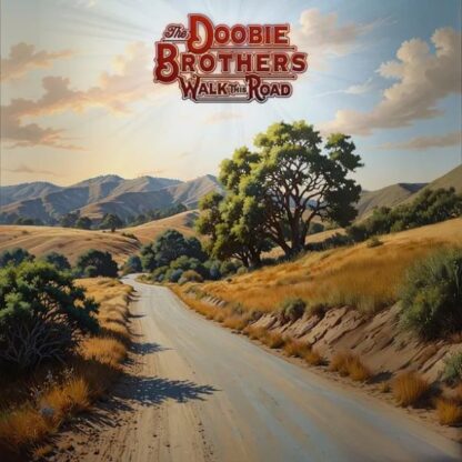 The Doobie Brothers - Walk This Road [LP]