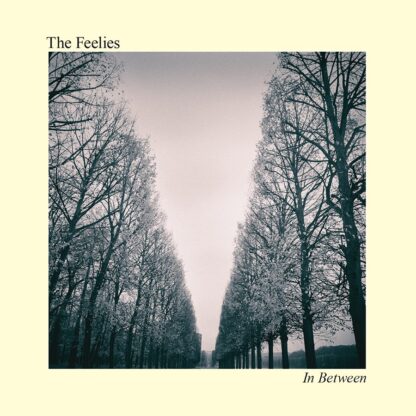 The Feelies - In Between [LP]